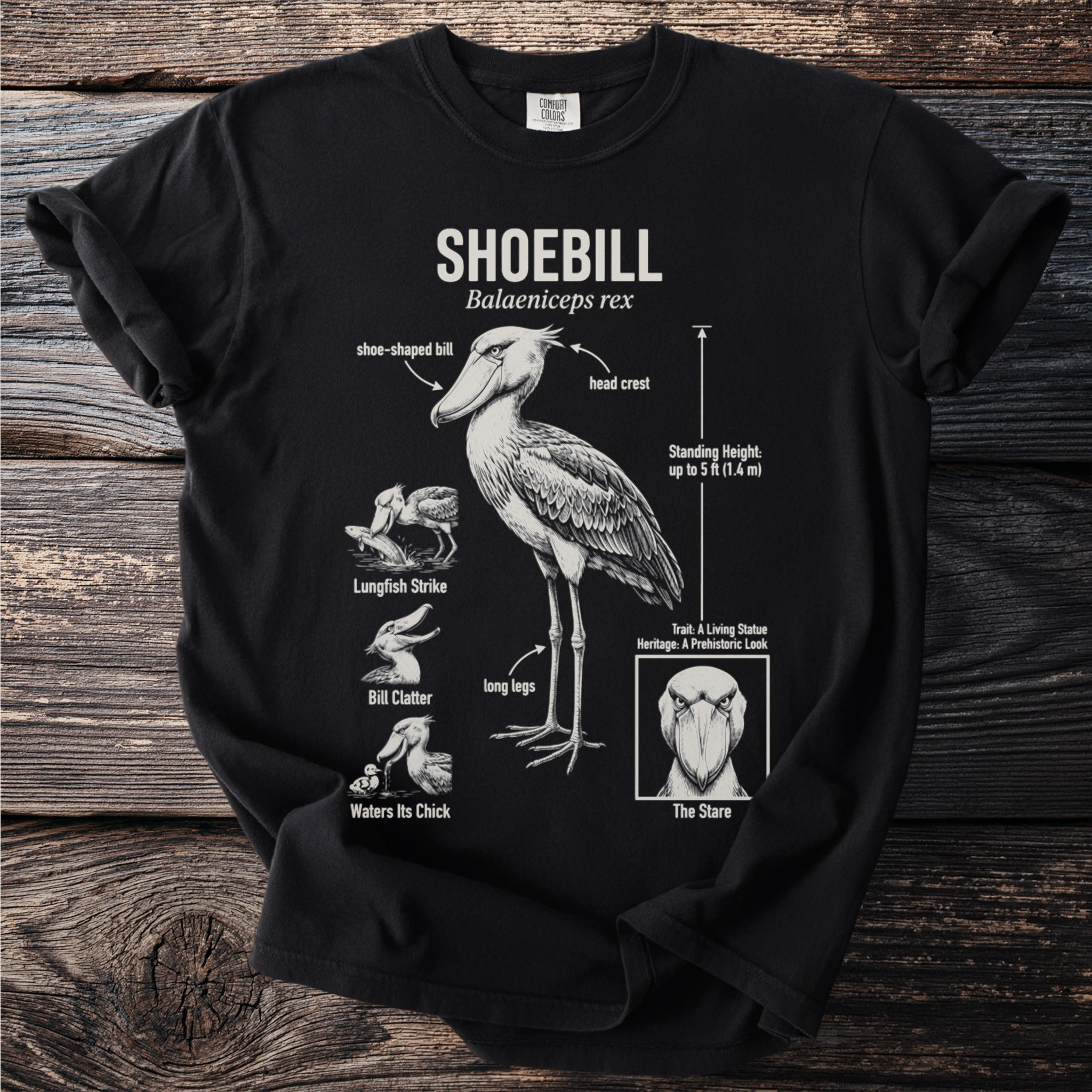 Black t-shirt with Shoebill bird illustration and anatomical details.