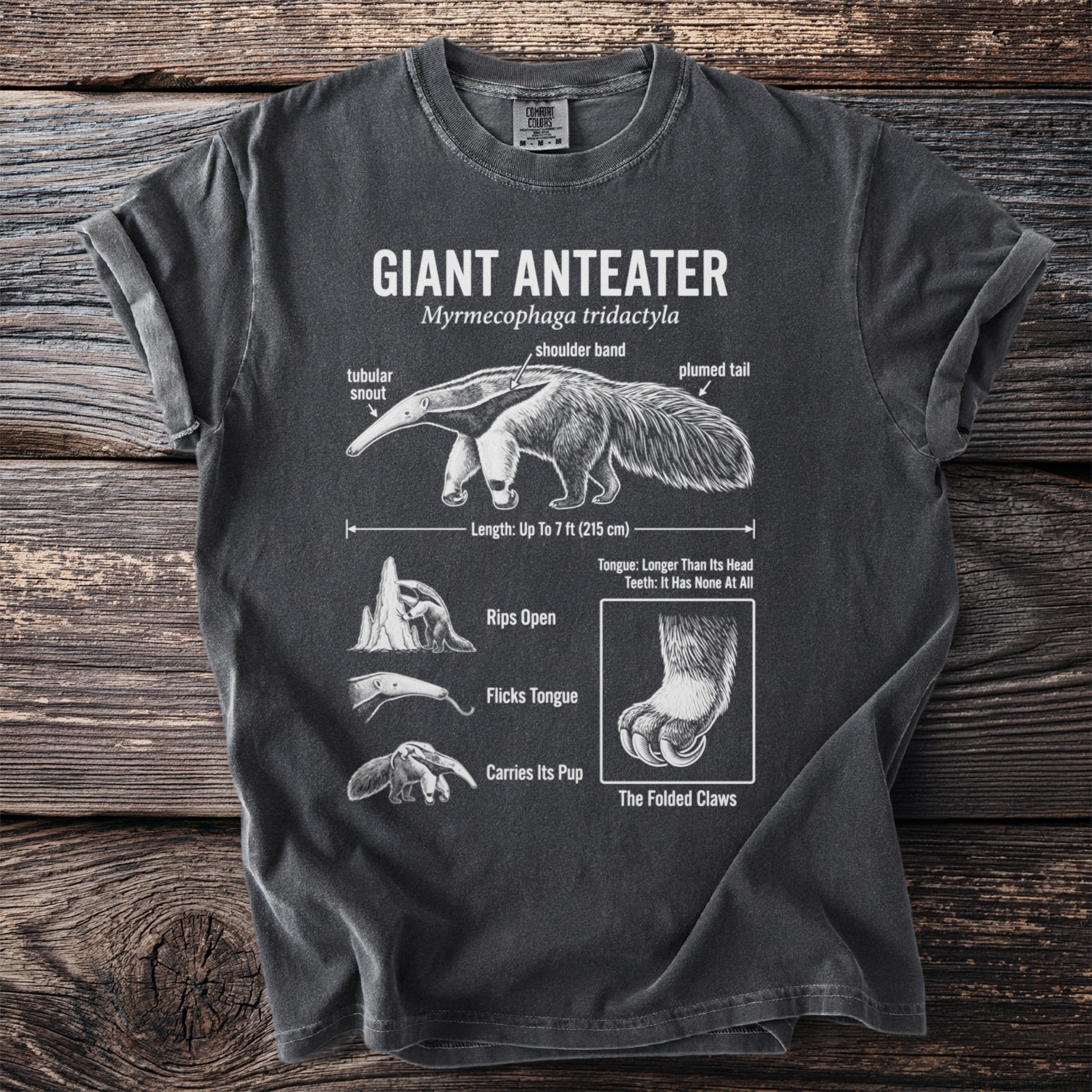 Giant anteater scientific illustration with labeled features on a dark t-shirt.