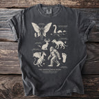 Cryptid field guide graphic featuring Mothman, Loch Ness Monster, Jackalope, Jersey Devil, Chupacabra, and Sasquatch.
