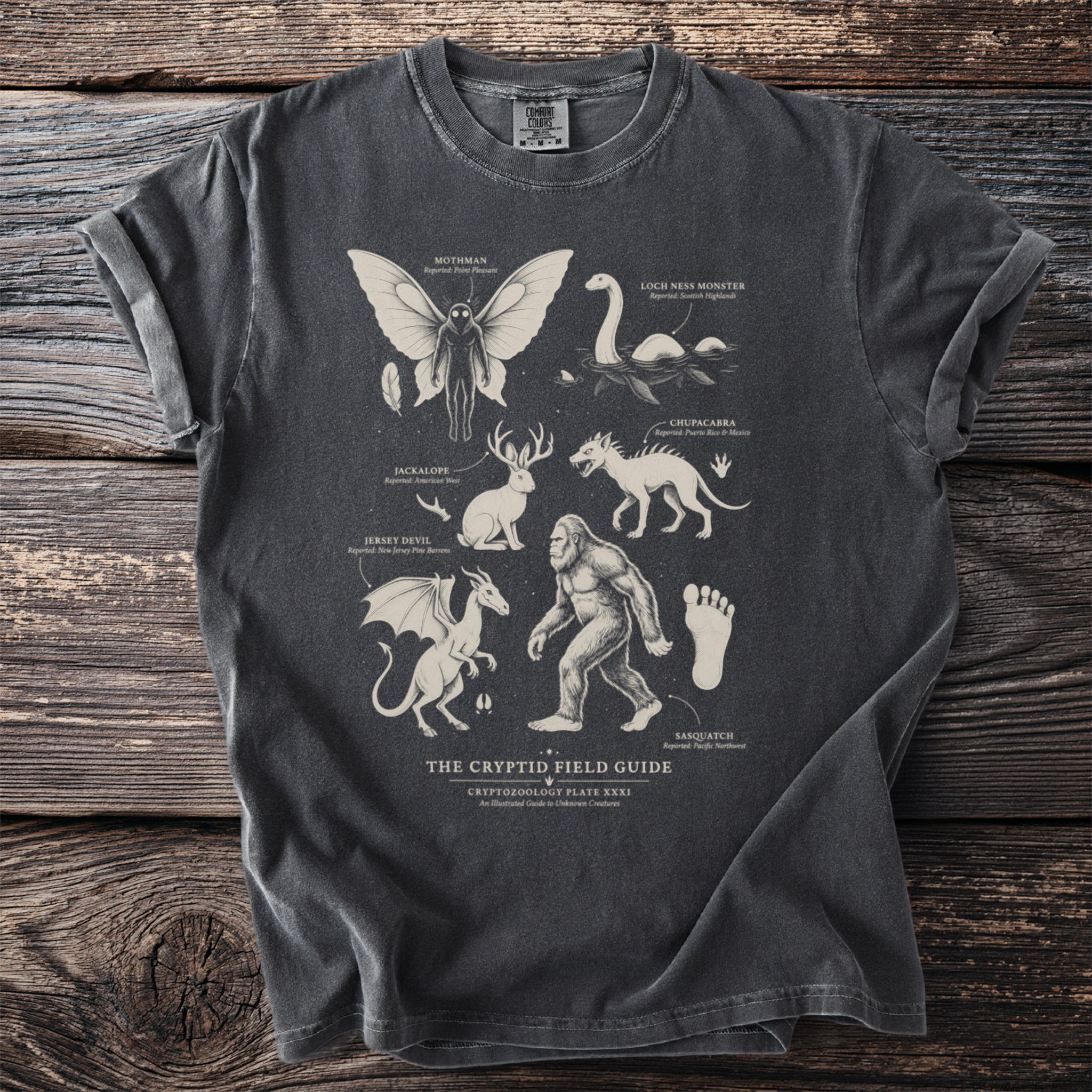 Cryptid field guide graphic featuring Mothman, Loch Ness Monster, Jackalope, Jersey Devil, Chupacabra, and Sasquatch.