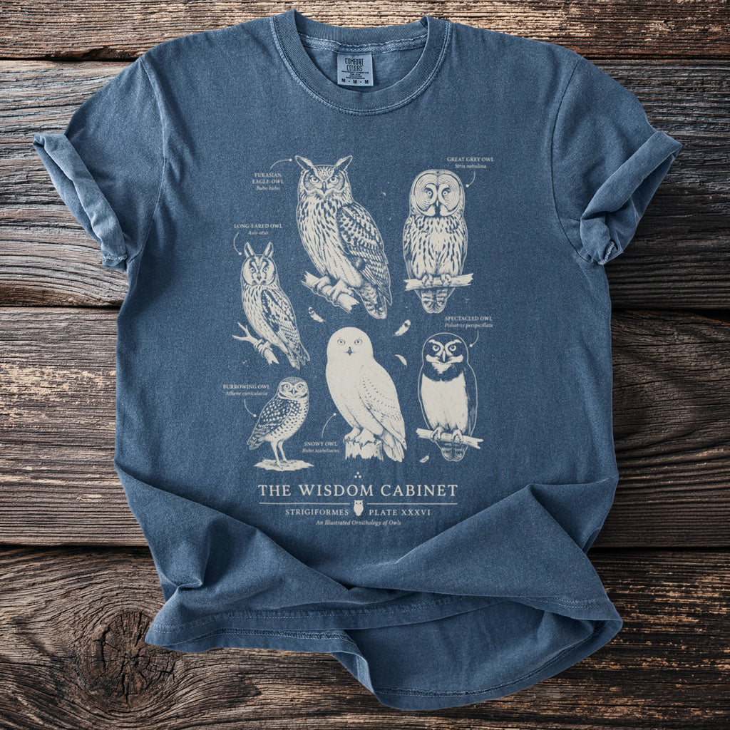 Blue t-shirt with an illustrated study of six owls titled "The Wisdom Cabinet" and "An Illustrated Ornithology of Owls".