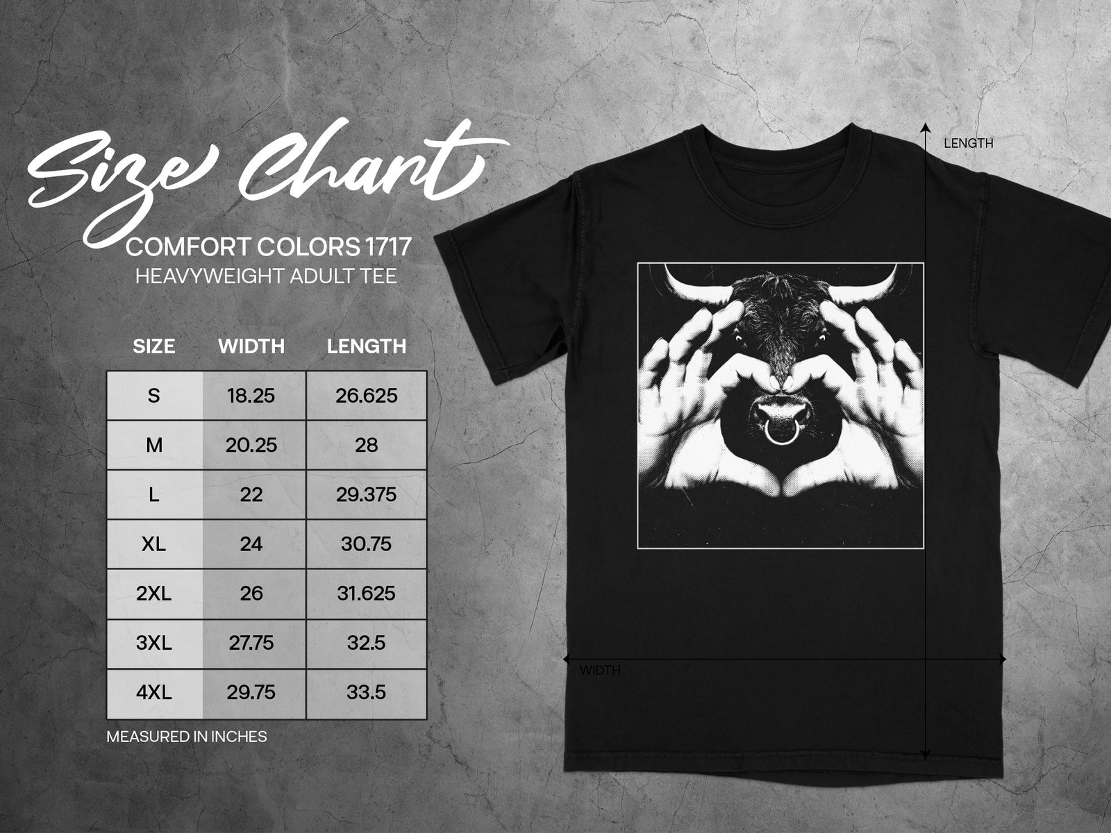 Comfort Colors 1717 heavyweight adult tee size chart with width and length measurements.