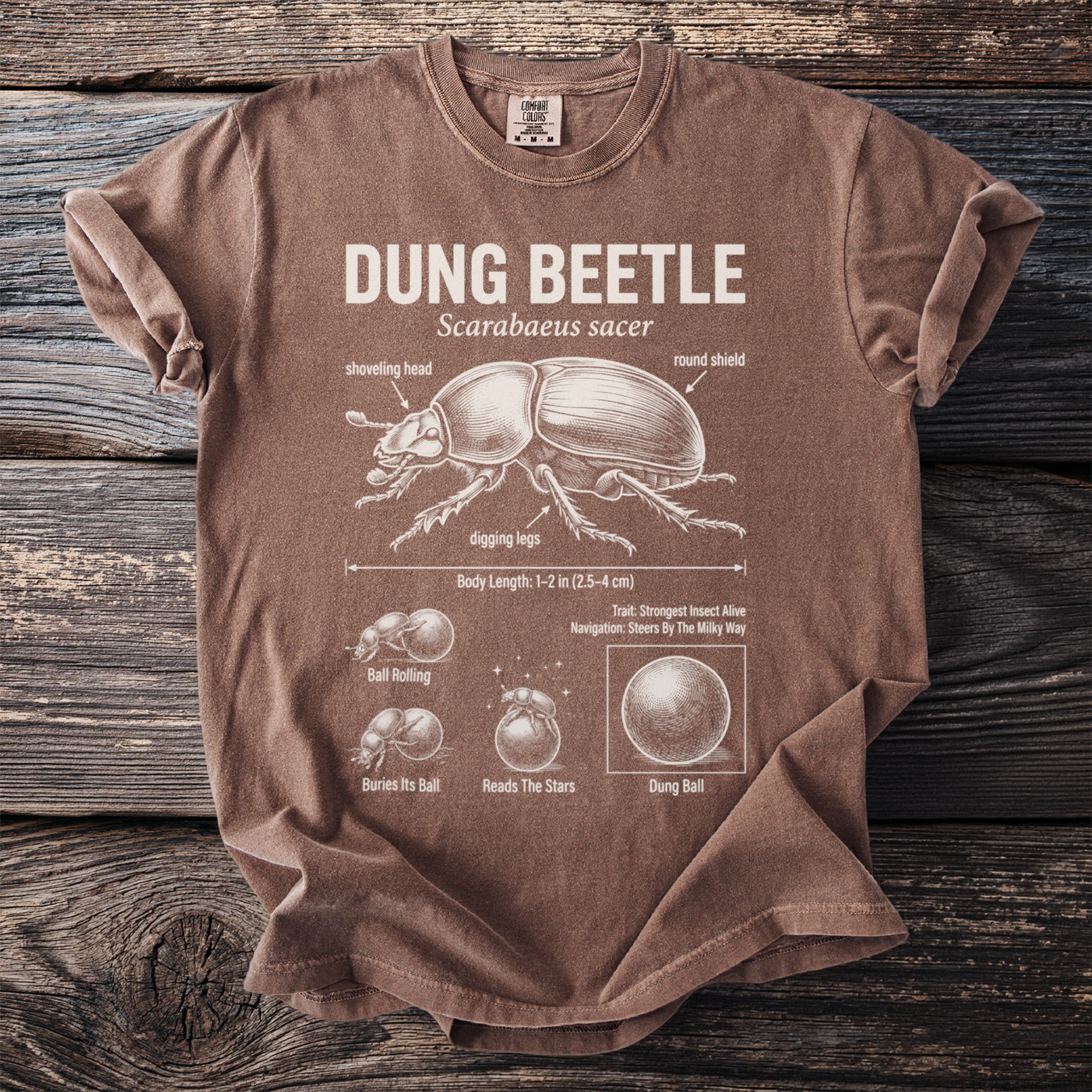 Brown t-shirt with a white diagram of a dung beetle and its behaviors.