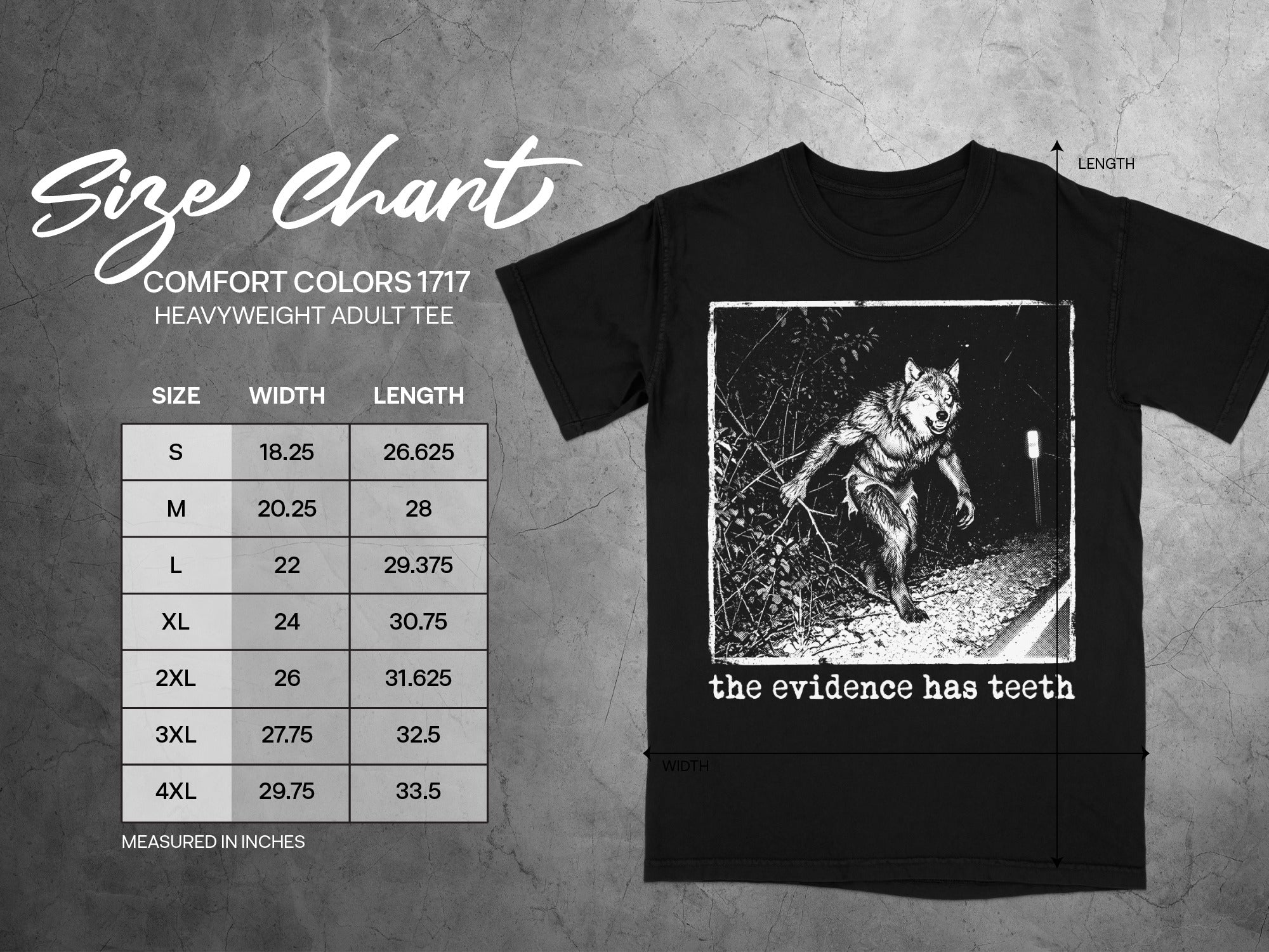 Black t-shirt size chart with graphic of a werewolf and text "the evidence has teeth".