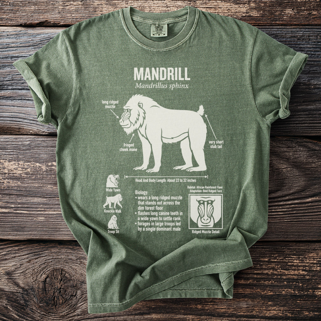 Green t-shirt with a white illustration and text detailing a mandrill.