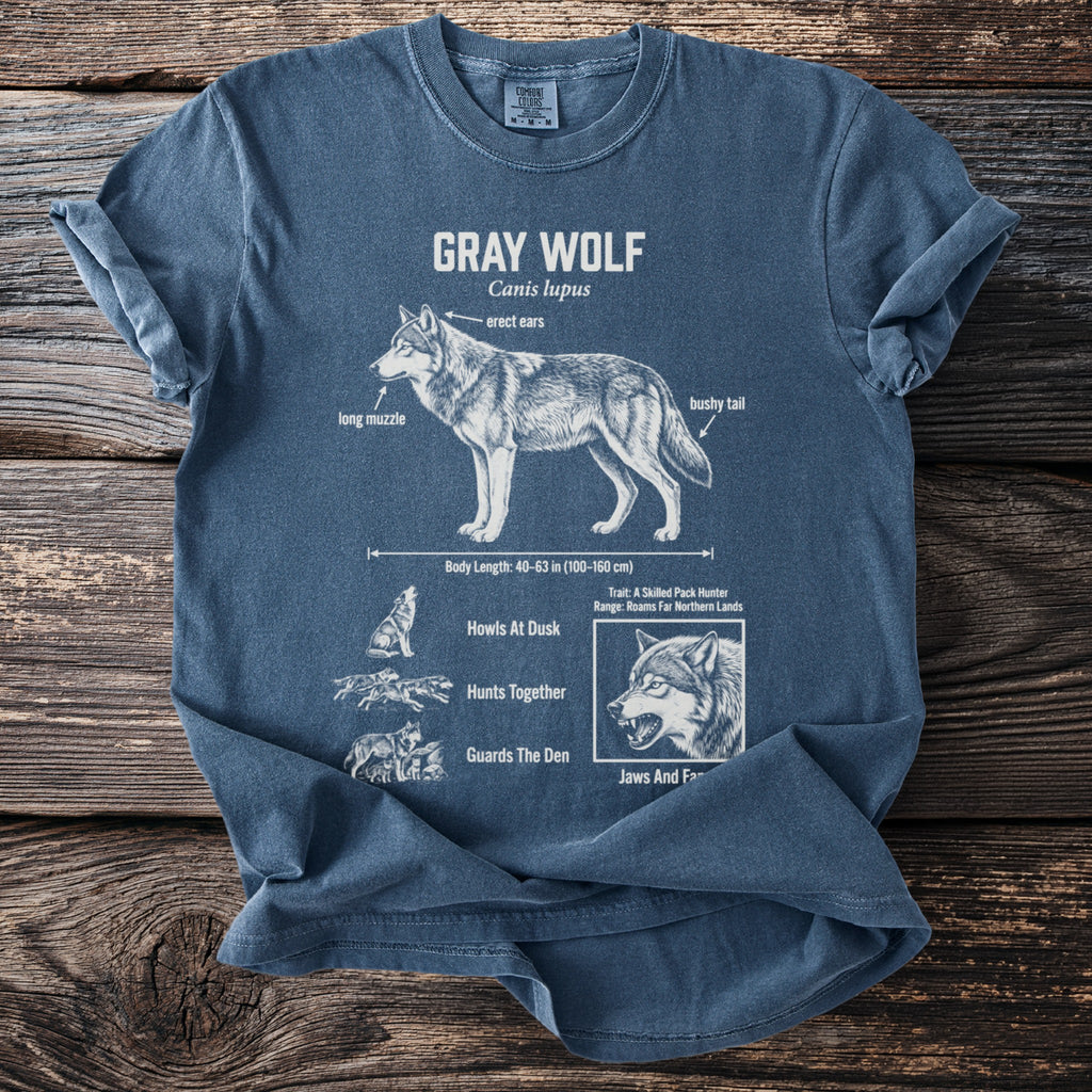 Gray Wolf diagram on a blue t-shirt with body length and traits.