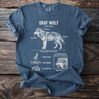 Gray Wolf diagram on a blue t-shirt with body length and traits.