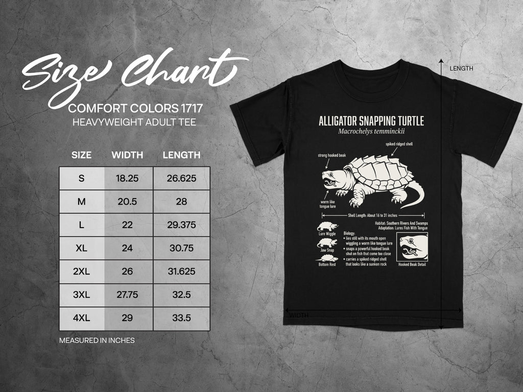 Comfort Colors 1717 heavyweight adult tee size chart with alligator snapping turtle graphic.