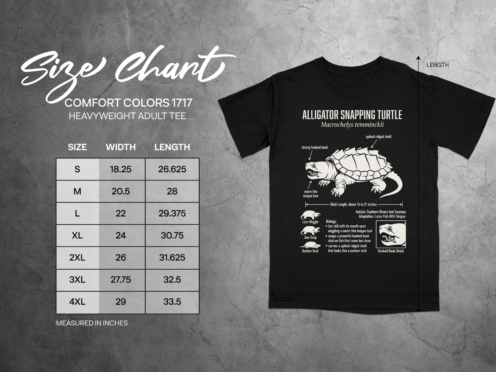 Comfort Colors 1717 heavyweight adult tee size chart with alligator snapping turtle graphic.