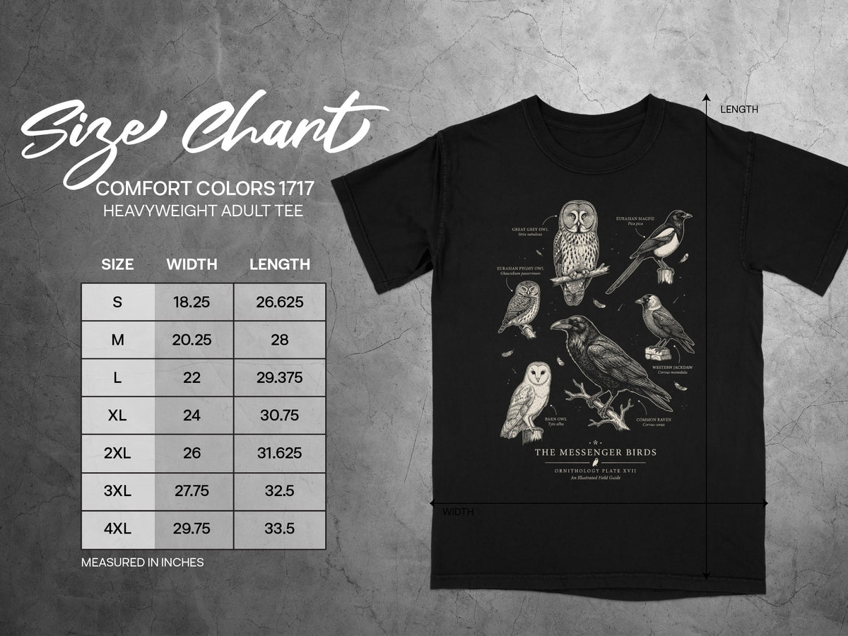Comfort Colors 1717 size chart and ornithology t-shirt with illustrated birds.