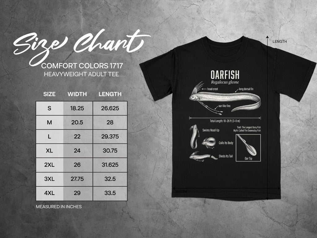 Comfort Colors 1717 garment size chart in inches.