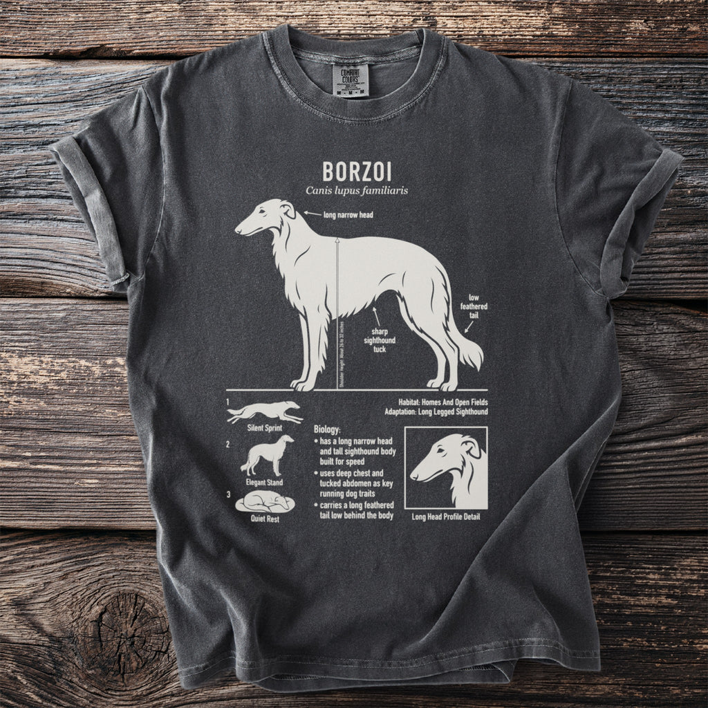 Borzoi illustration with descriptive text detailing breed characteristics and visual representations.