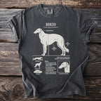 Borzoi illustration with descriptive text detailing breed characteristics and visual representations.
