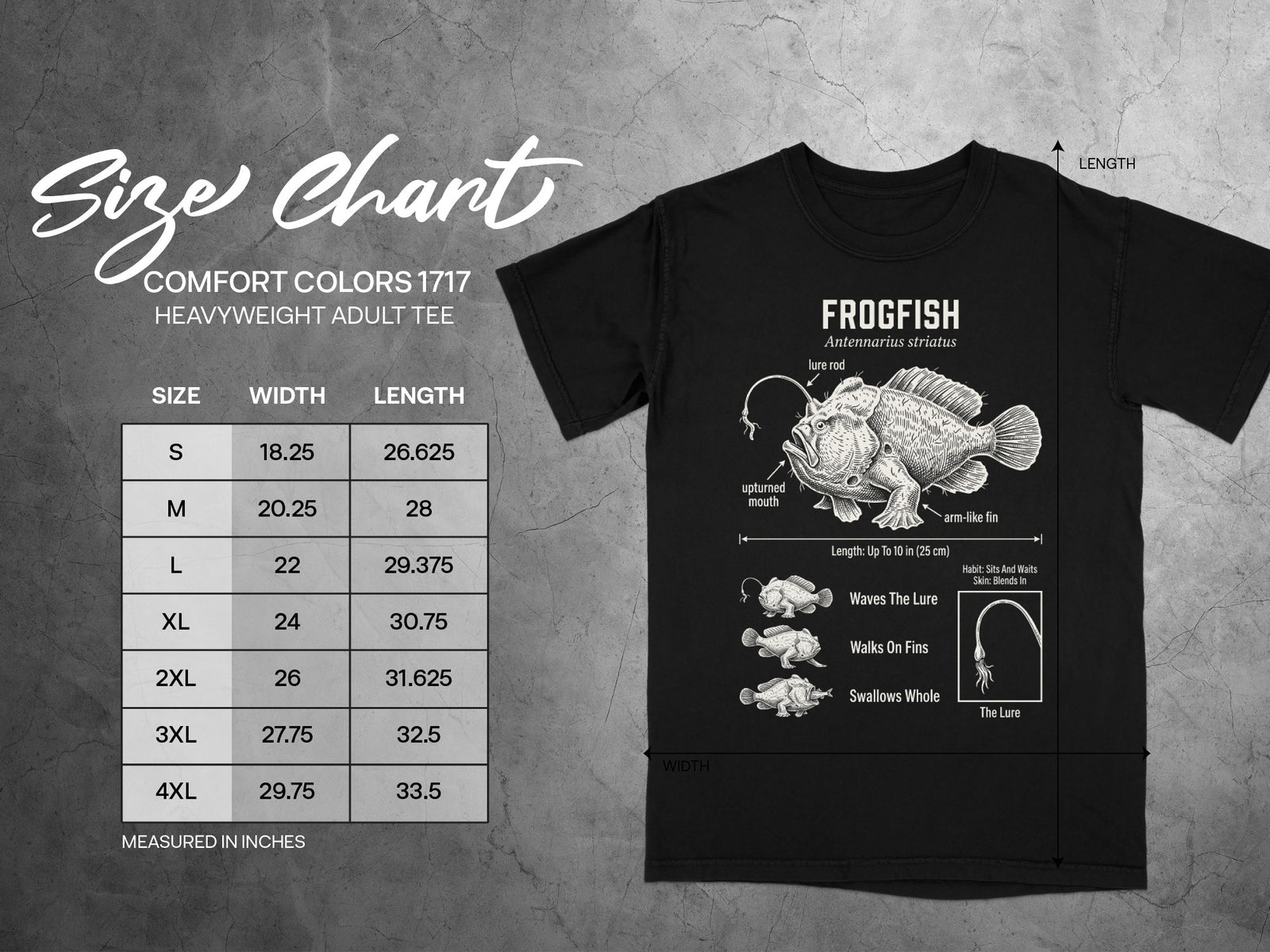 Comfort Colors 1717 size chart for heavyweight adult tee with frogfish graphic.