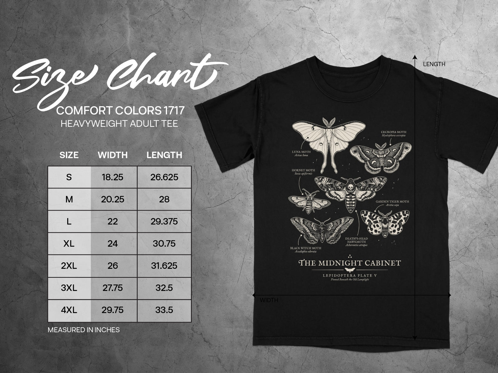 Black t-shirt with moth illustration and size chart including width and length measurements.