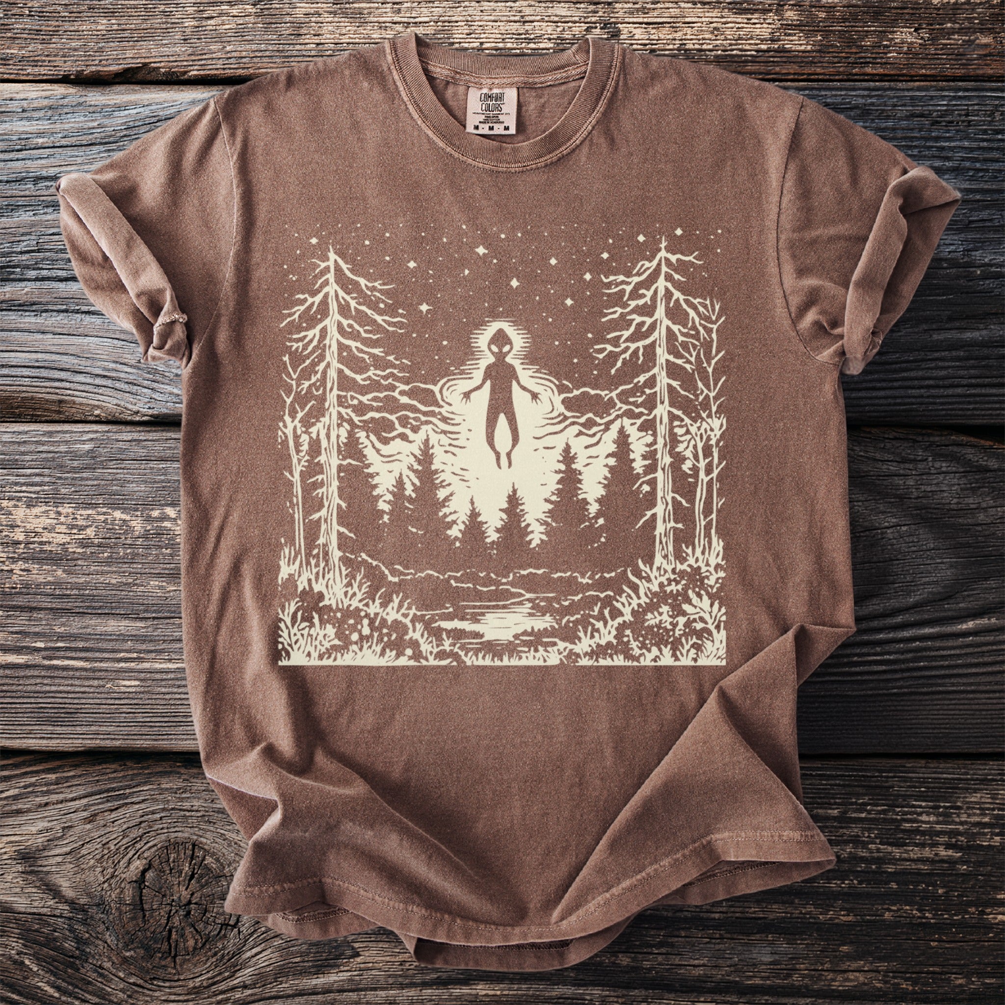 The Visitor: Light Above the Firs