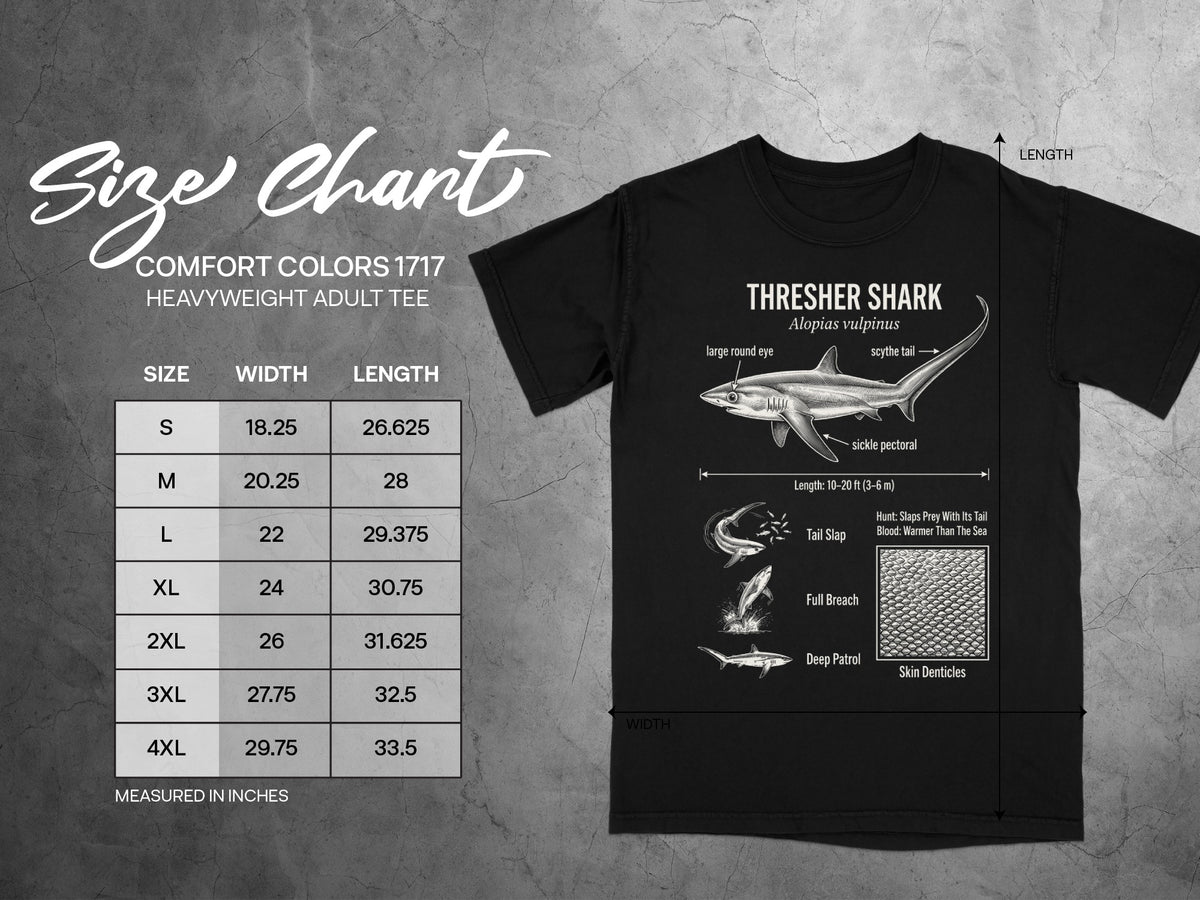 Comfort Colors 1717 size chart with thresher shark illustration and measurements.