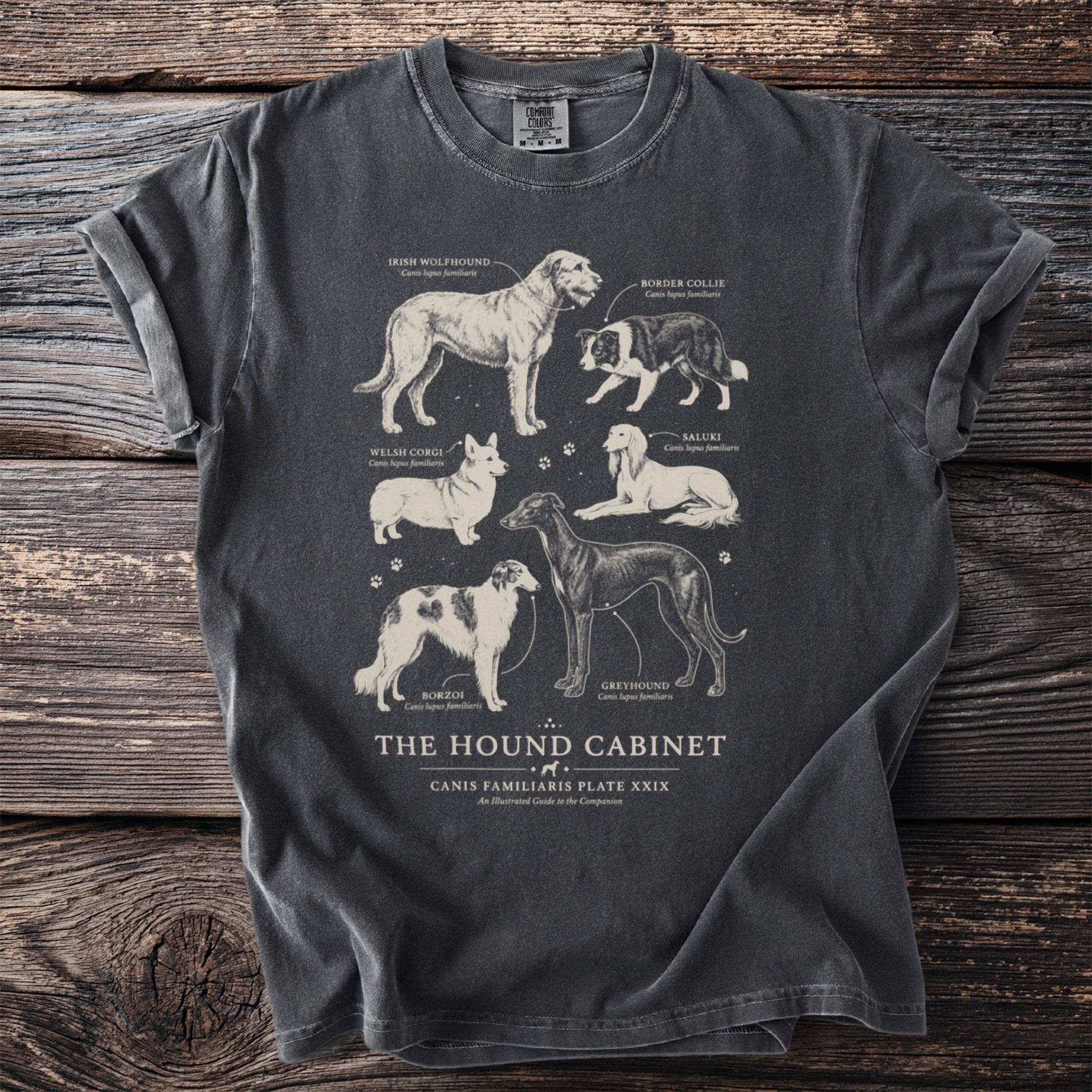 T-shirt with "The Hound Cabinet Canis Familiaris Plate XXIX" text and illustrations of six dog breeds.
