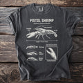 Pistol Shrimp diagram with labels including snapping claw, long antennae, fan tail, and length.
