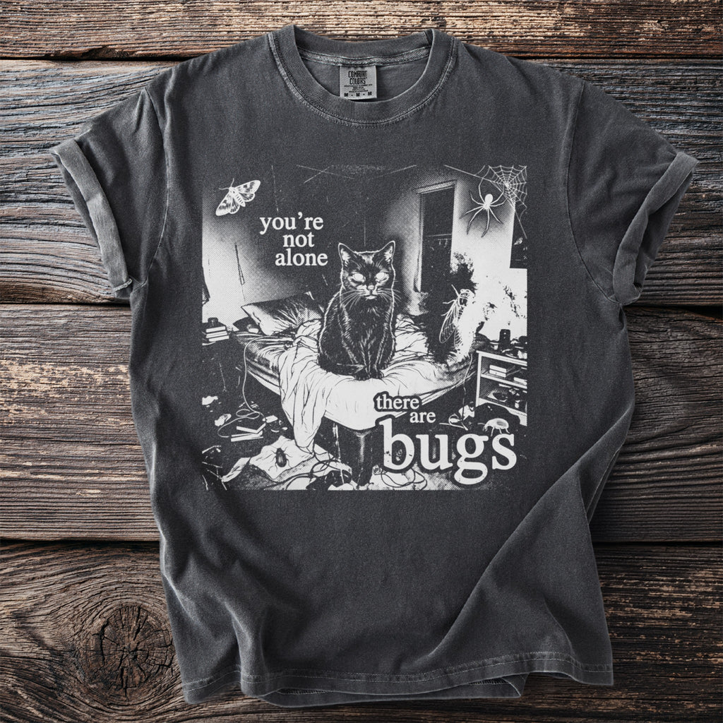 Black cat on a messy bed with text "you're not alone there are bugs".
