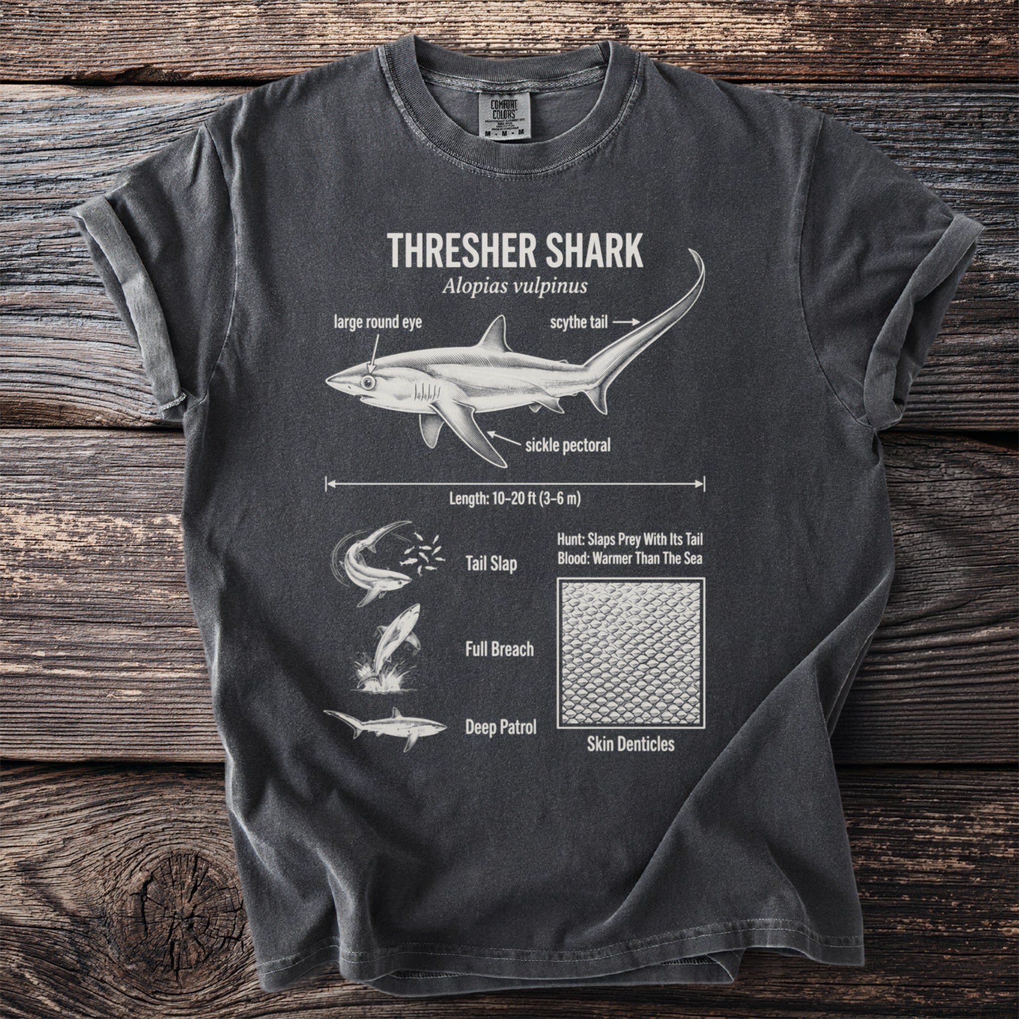 Thresher Shark diagram with labeled features and behaviors on a dark t-shirt.
