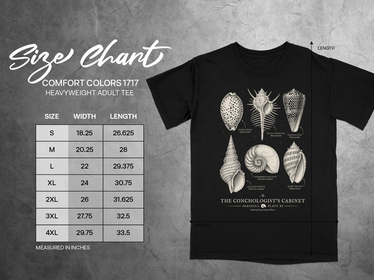 Comfort Colors 1717 heavyweight adult tee size chart with seashell illustrations.