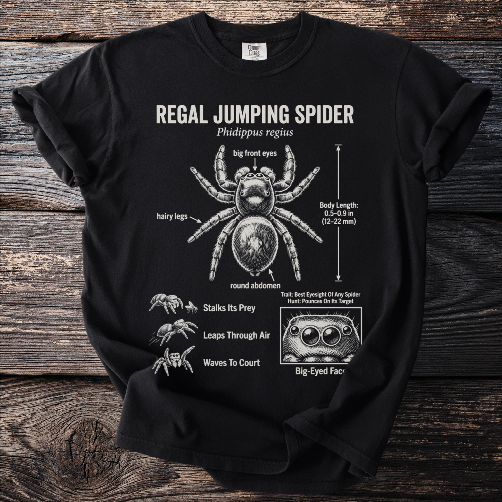 Black t-shirt with Regal Jumping Spider diagram and text.