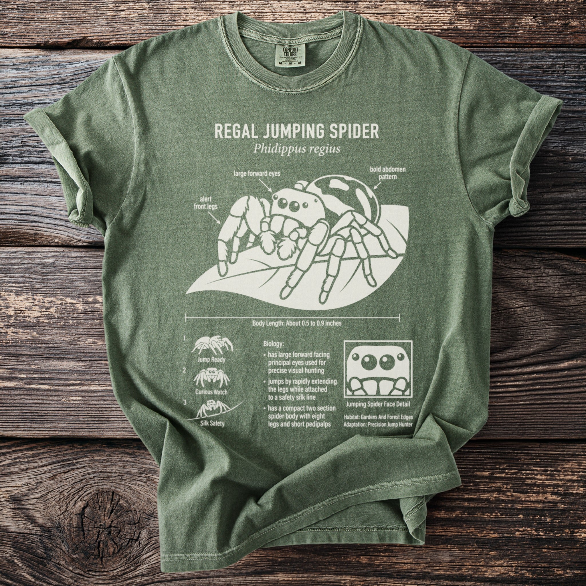 Green t-shirt with Regal Jumping Spider illustration and biology details.