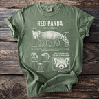 Green t-shirt with red panda illustration and facts: "Red Panda," "Ailurus fulgens," "Masked Face."