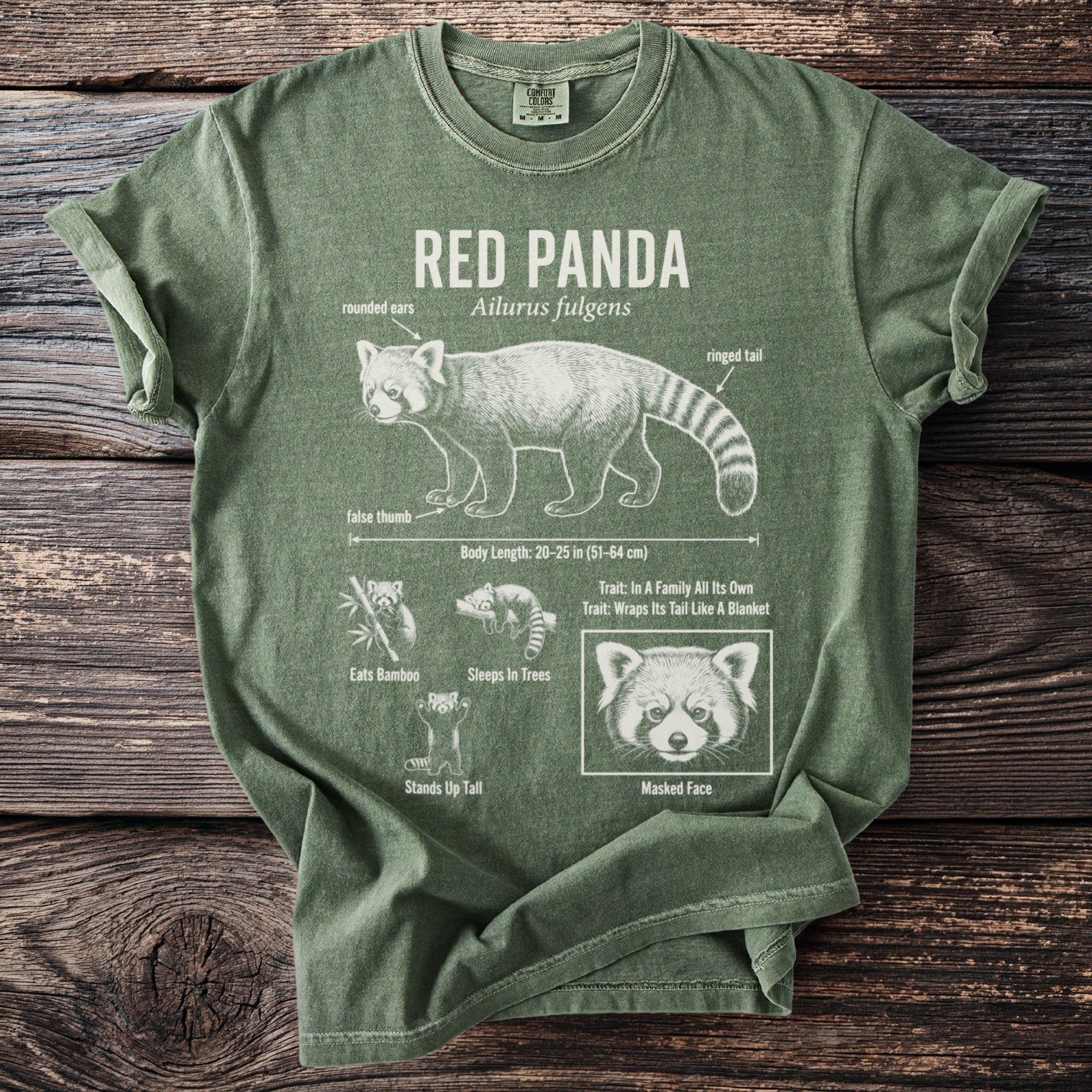 Green t-shirt with red panda illustration and facts: "Red Panda," "Ailurus fulgens," "Masked Face."