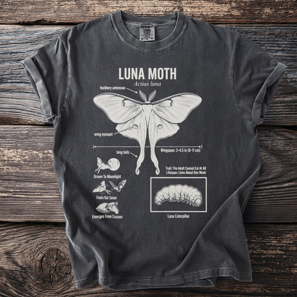 Dark t-shirt with a detailed white illustration and labels of a Luna Moth and its life cycle.