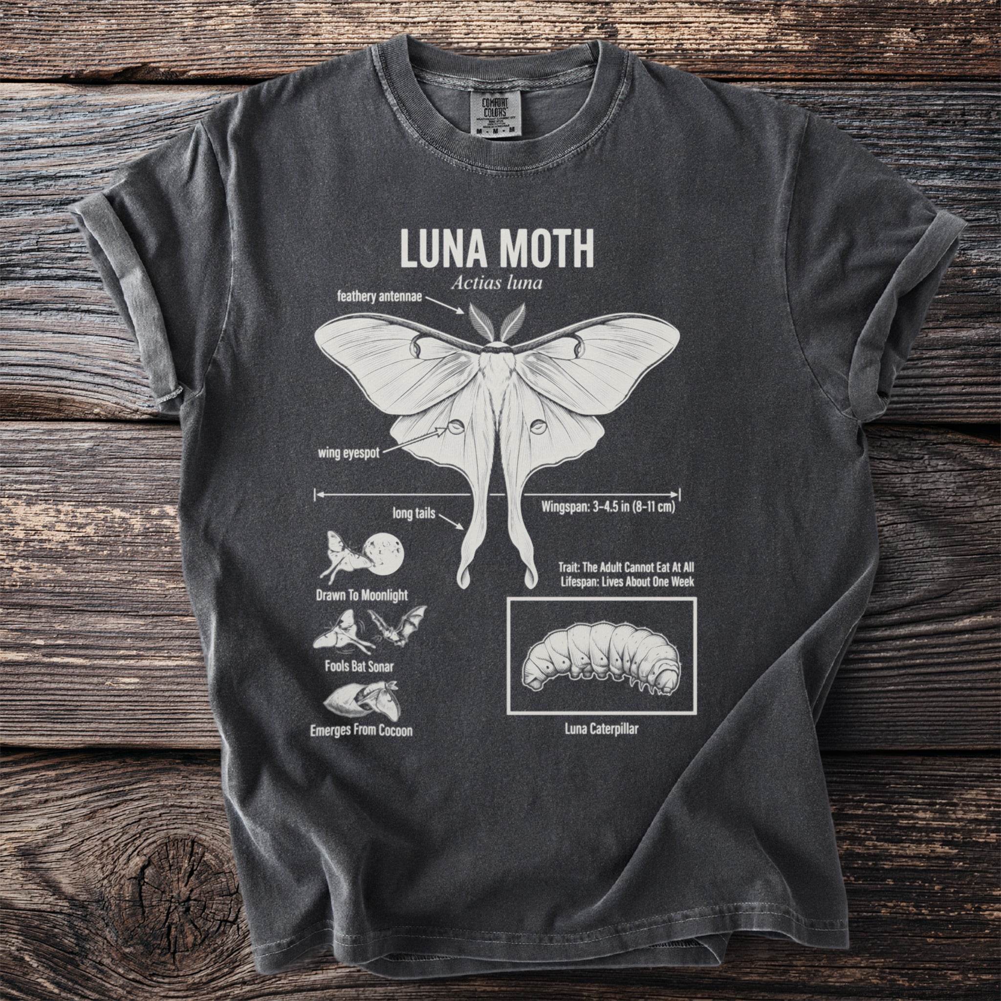 Dark t-shirt with a detailed white illustration and labels of a Luna Moth and its life cycle.