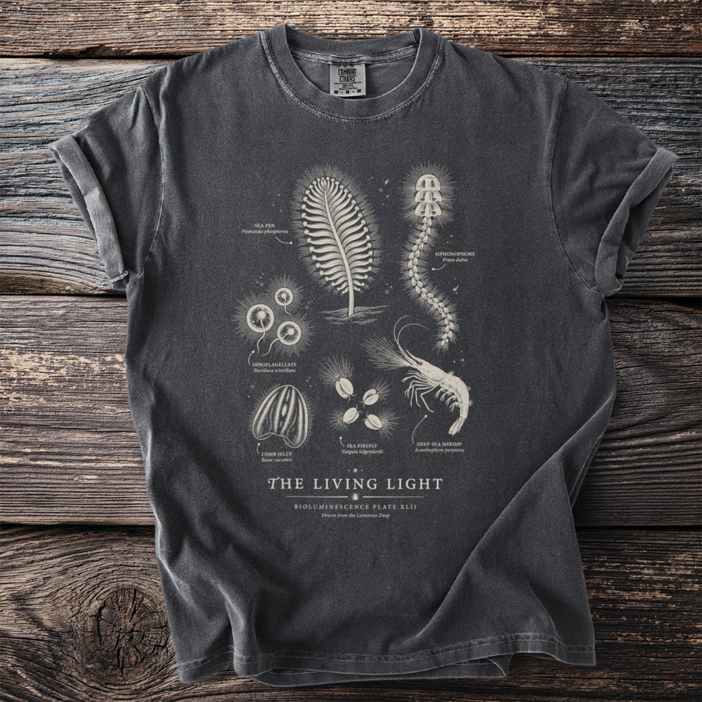 Dark grey t-shirt with vintage-style bioluminescent deep-sea creatures and text.