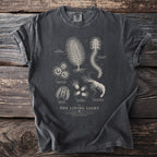 Dark grey t-shirt with vintage-style bioluminescent deep-sea creatures and text.
