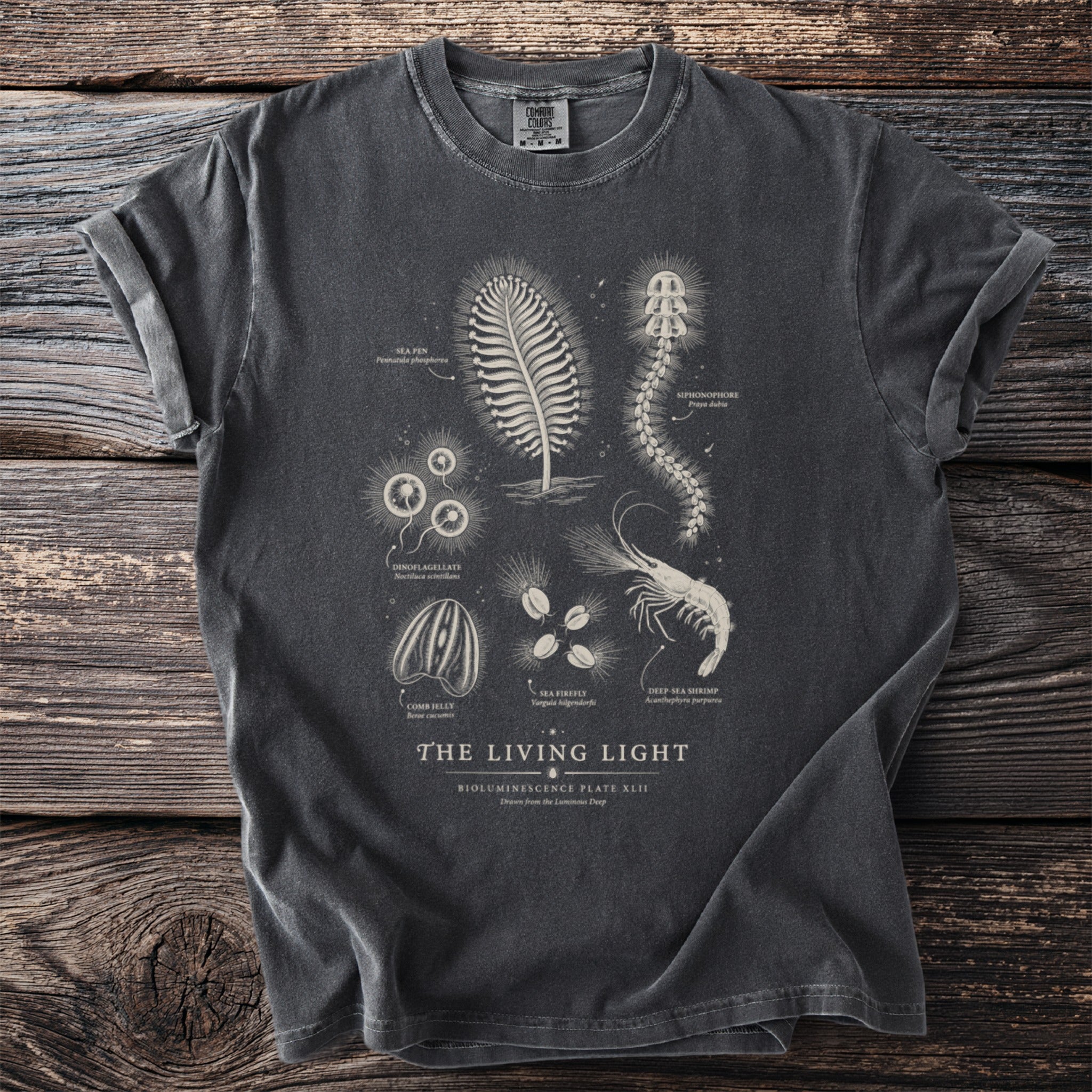 Dark grey t-shirt with vintage-style bioluminescent deep-sea creatures and text.