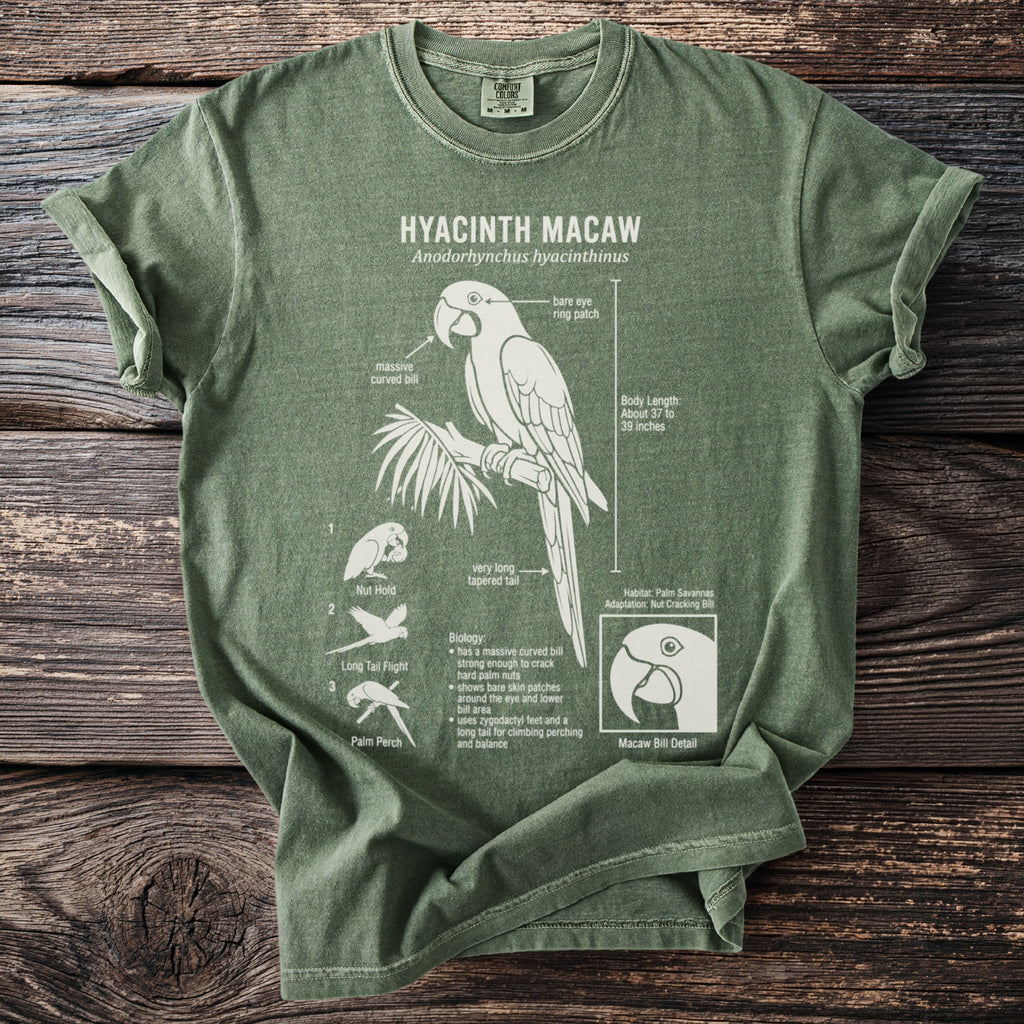 Green t-shirt features a white diagram of a Hyacinth Macaw with detailed annotations.