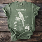 Green t-shirt features a white diagram of a Hyacinth Macaw with detailed annotations.