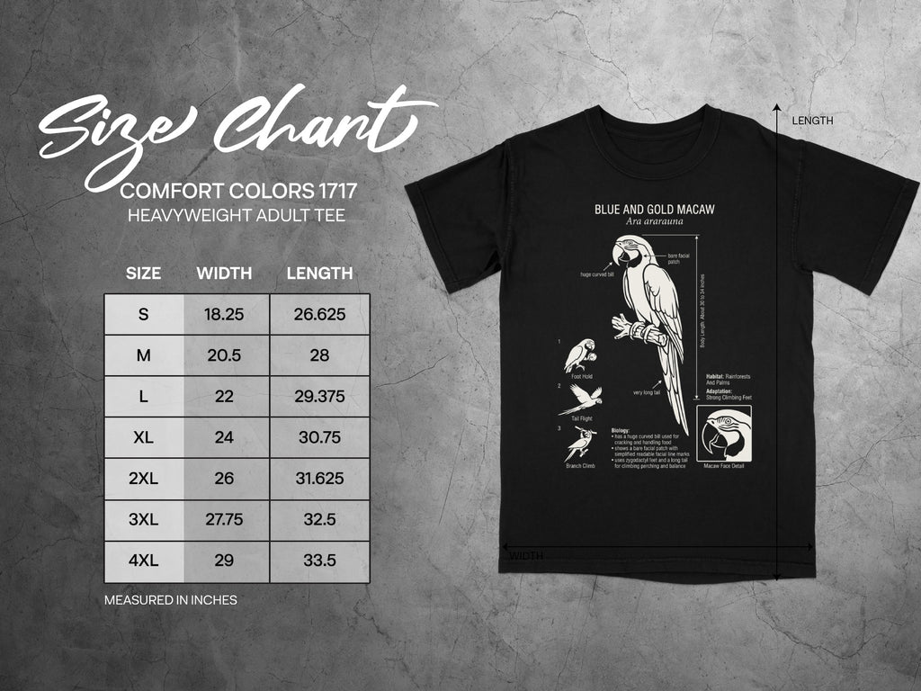 Size chart for Comfort Colors 1717 heavyweight adult tee with macaw illustration.