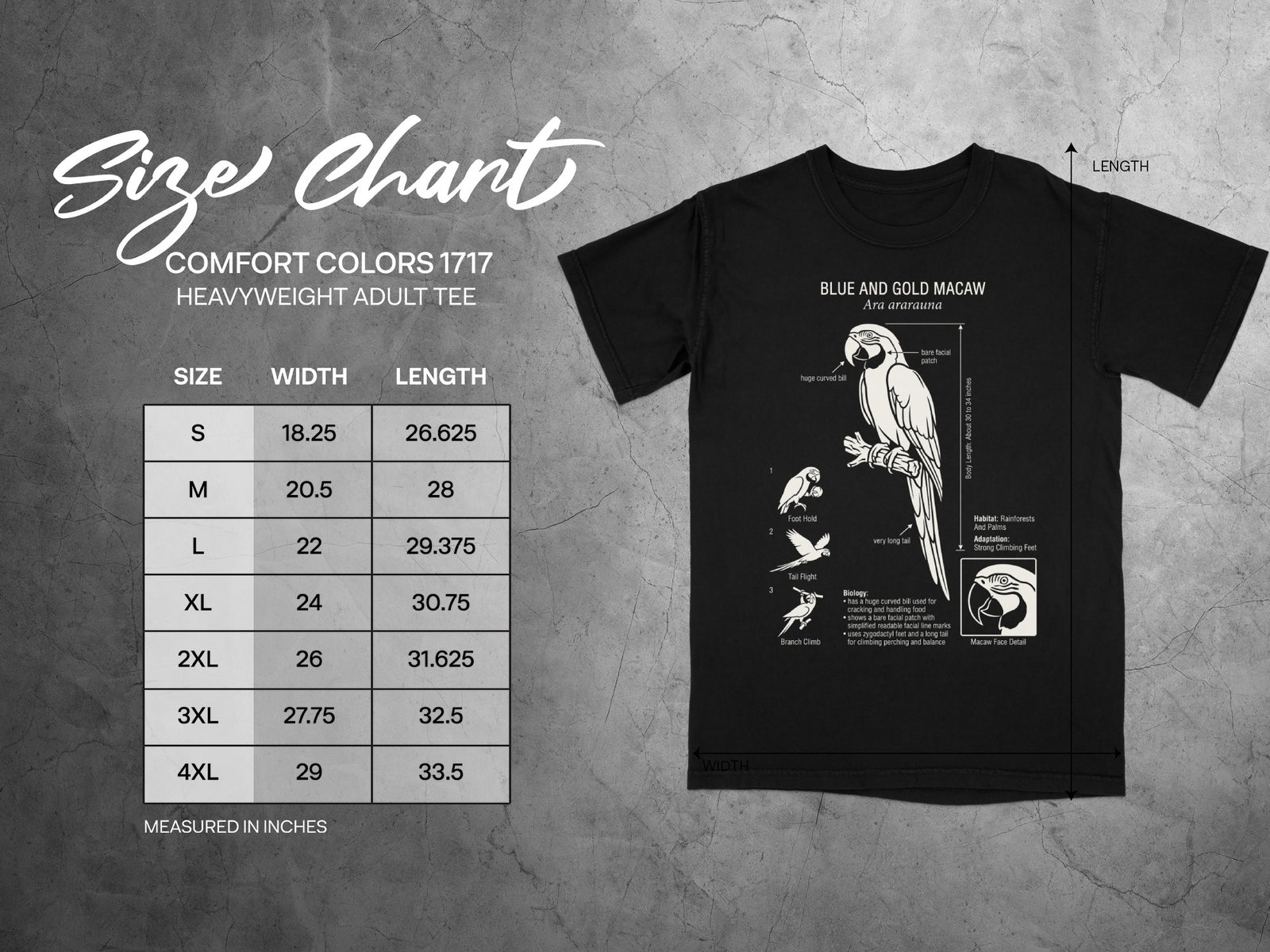 Size chart for Comfort Colors 1717 heavyweight adult tee with macaw illustration.
