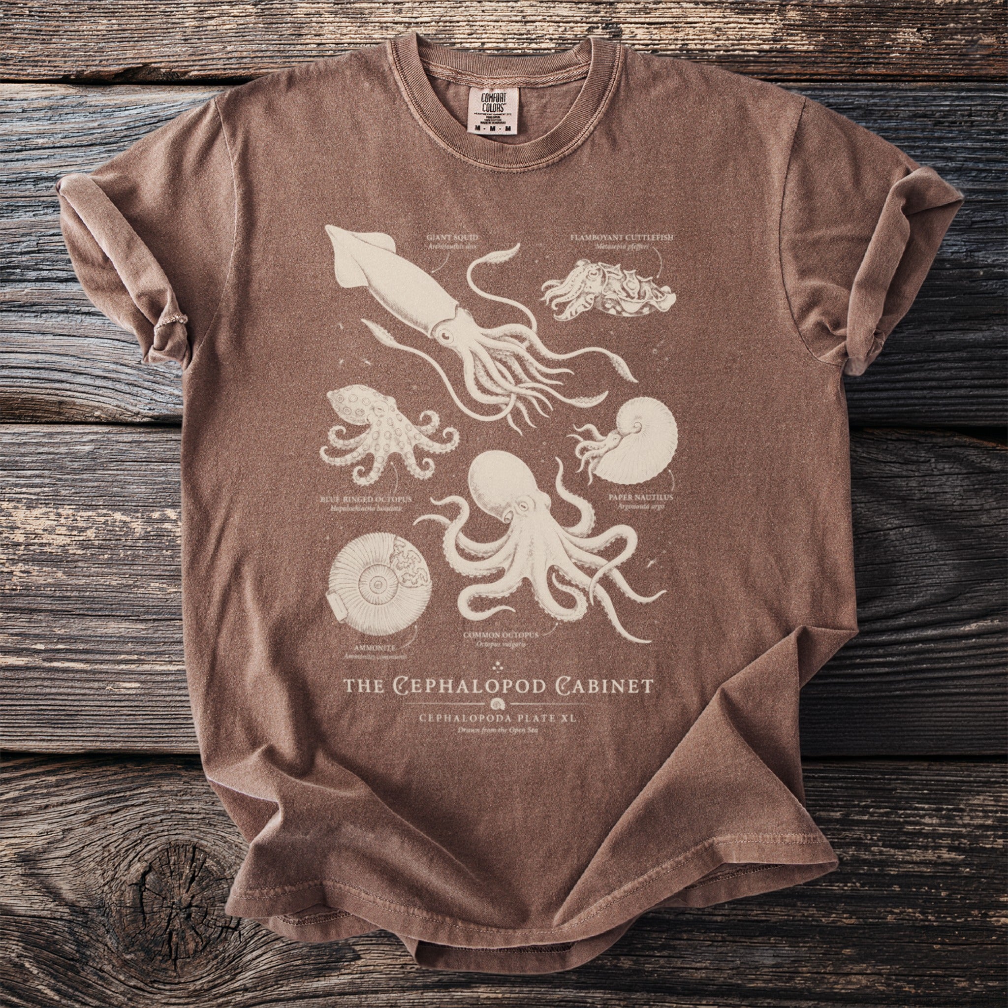 Brown t-shirt featuring a vintage illustration of cephalopods and ammonites titled "The Cephalopod Cabinet."