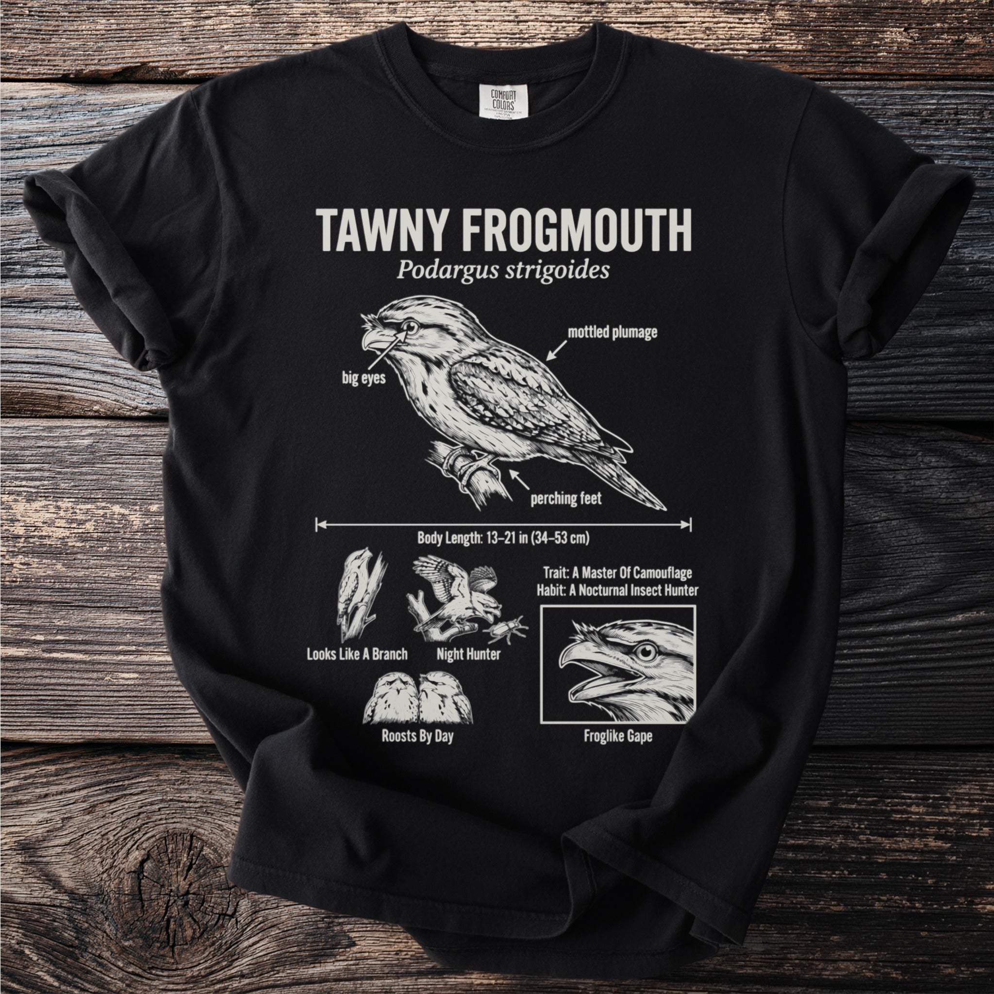 Tawny Frogmouth diagram on black t-shirt, detailing plumage, eyes, and habitat.