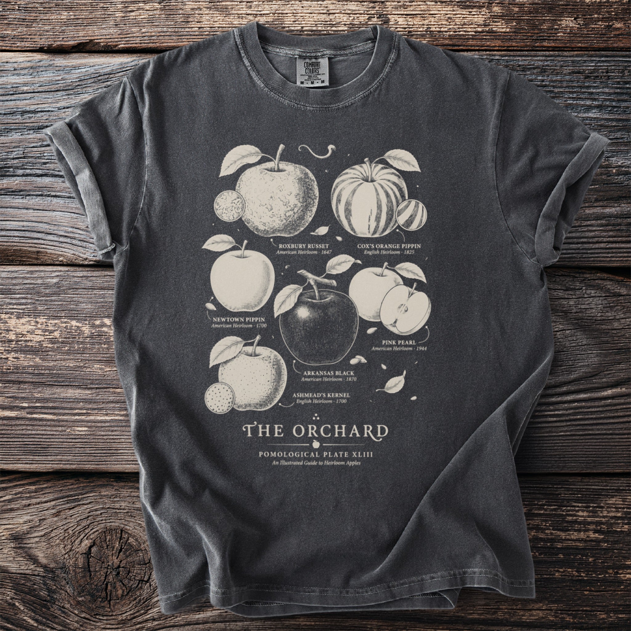 T-shirt graphic of "The Orchard" illustrated guide to heirloom apples.