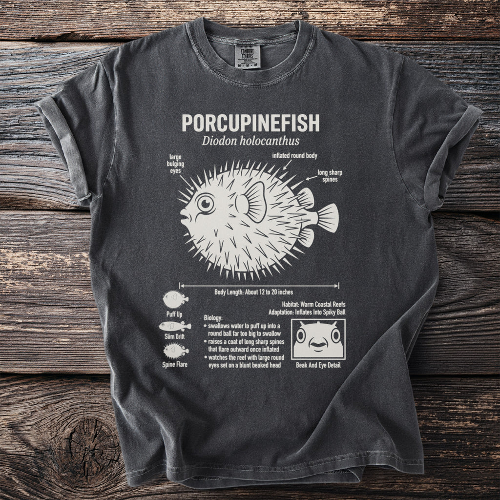 Porcupinefish diagram with body length, biology, and habitat details.