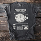 Porcupinefish diagram with body length, biology, and habitat details.
