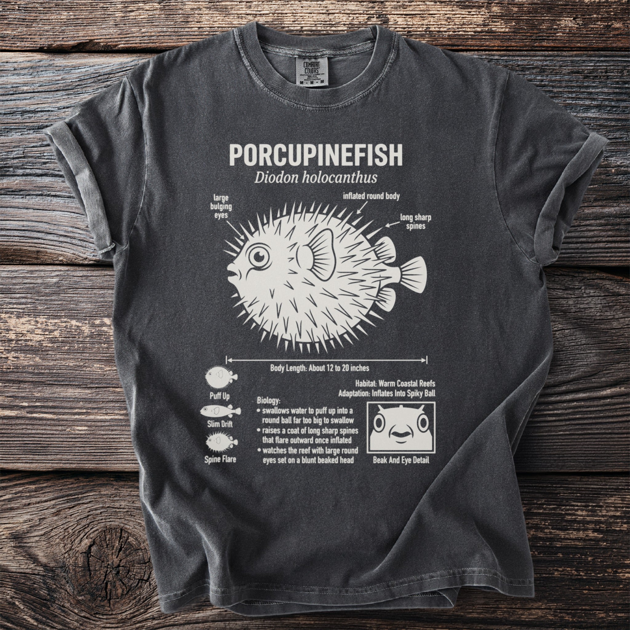 Porcupinefish diagram with body length, biology, and habitat details.