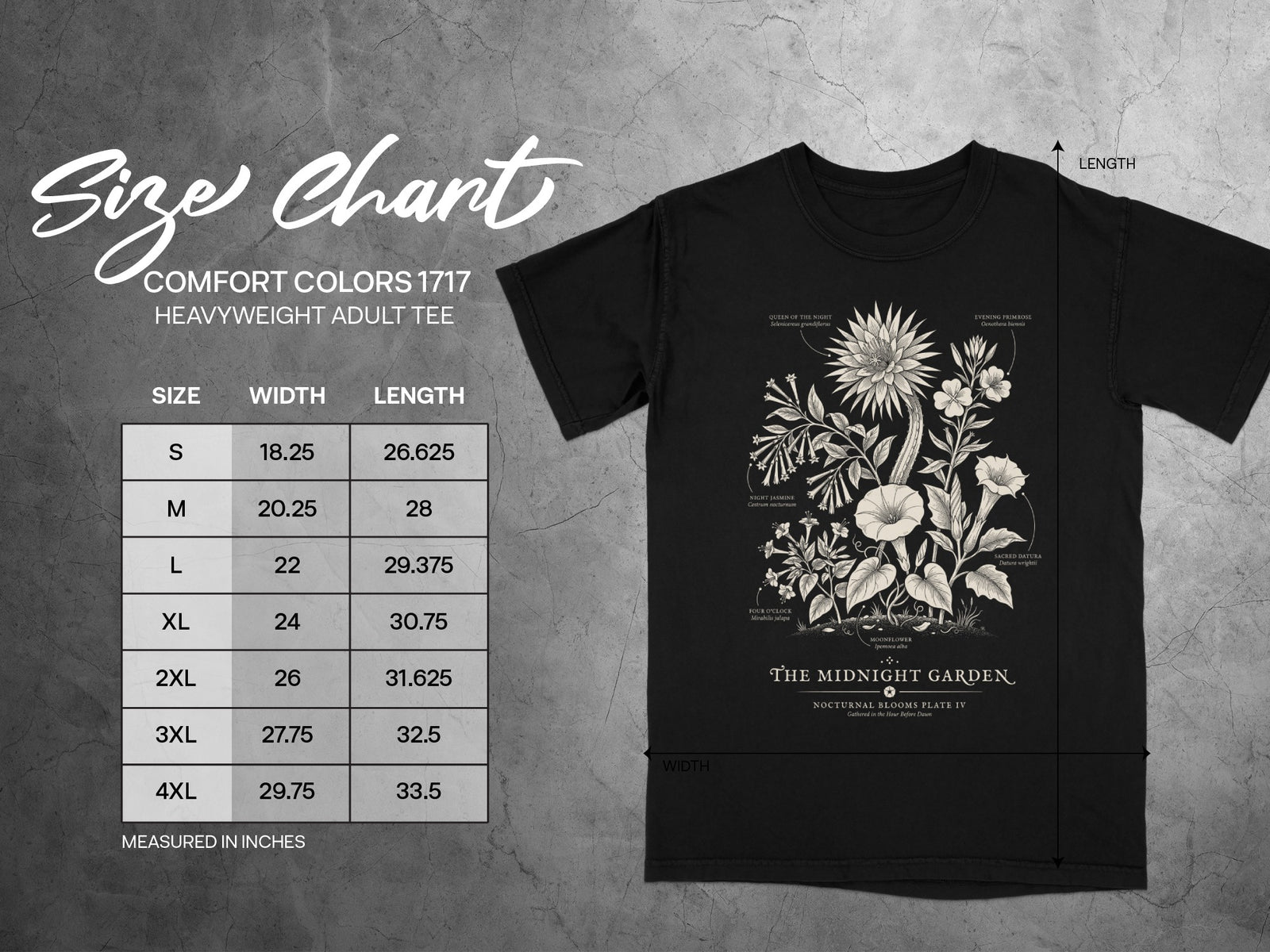 Comfort Colors 1717 size chart for heavyweight adult tee with "The Midnight Garden" floral print.