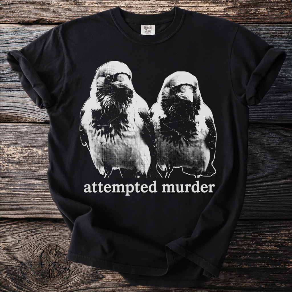 Black t-shirt with a graphic of two birds and the text "attempted murder".