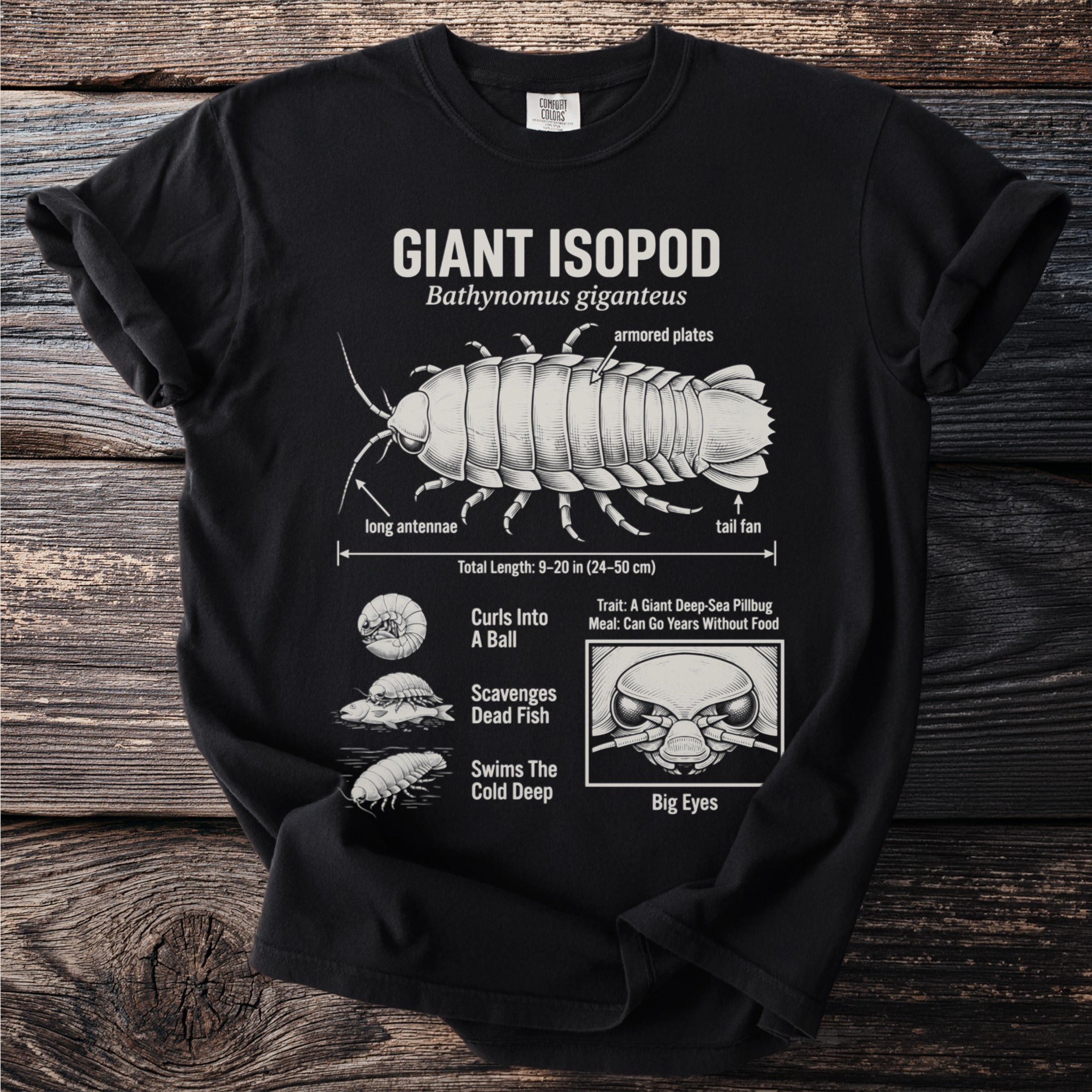 Black t-shirt with "Giant Isopod" graphic, scientific name, and anatomical details.