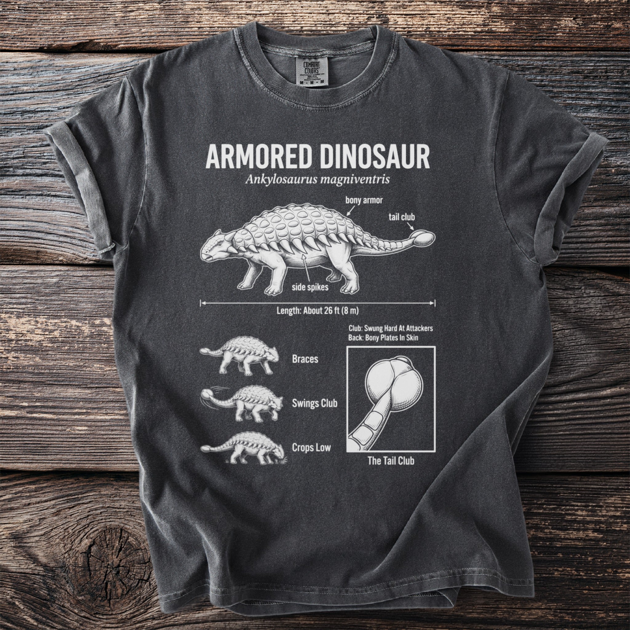 Dark grey t-shirt with an "Armored Dinosaur" illustration featuring an Ankylosaurus.