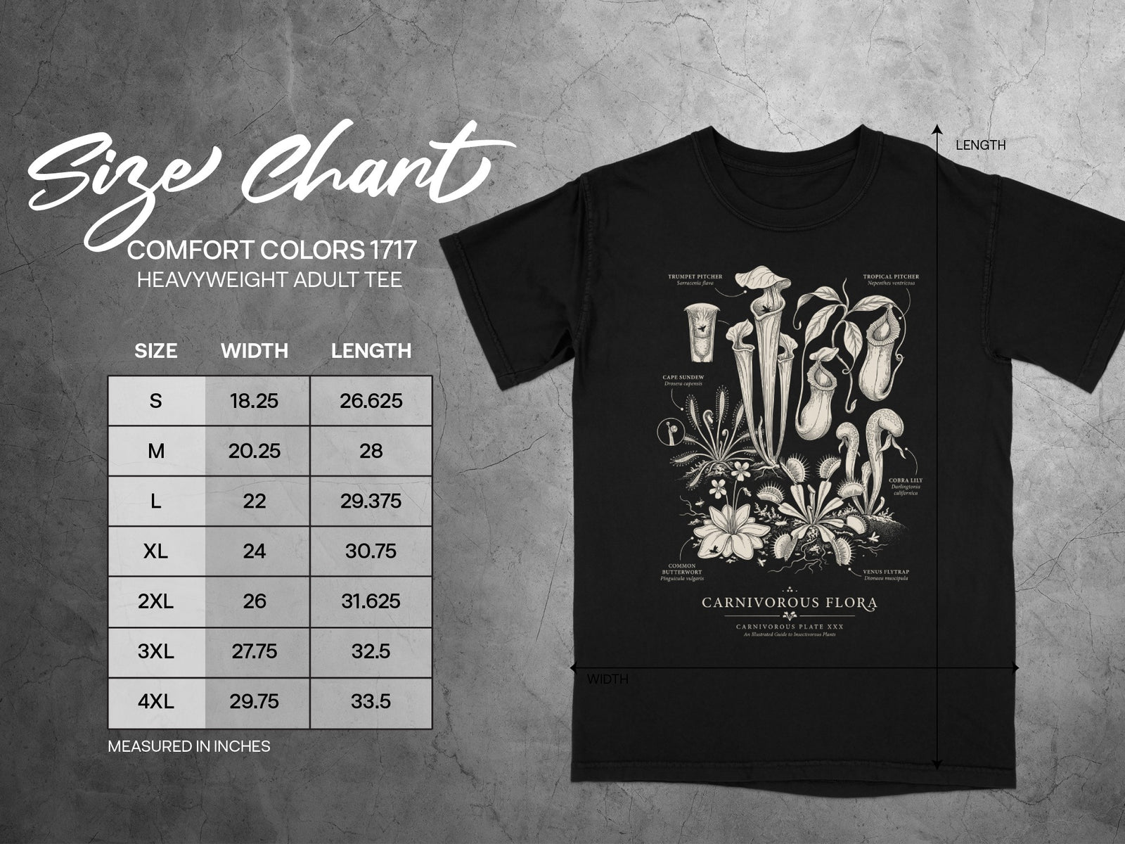 Comfort Colors 1717 t-shirt size chart and carnivorous plant illustration.